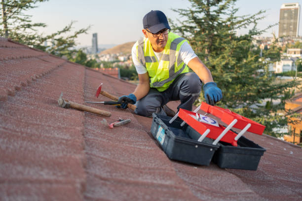 Best Yard Waste Removal  in St Bonaventure, NY
